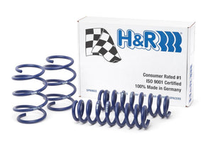 H&R Sport Lowering Springs  - BMW 340i xDrive Gran Turismo F34, AWD 2017-2019