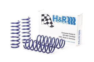 H&R Sport Lowering Springs  - BMW 528i F10 2011-2016