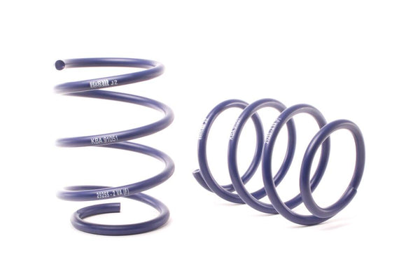 H&R Sport Lowering Springs  - BMW 545i E60 2004-2006