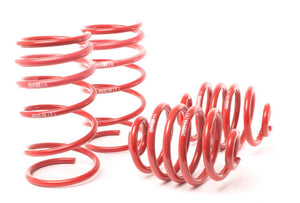 H&R Sport Lowering Springs  - BMW M-Coupe Typ MRC 1998-2002