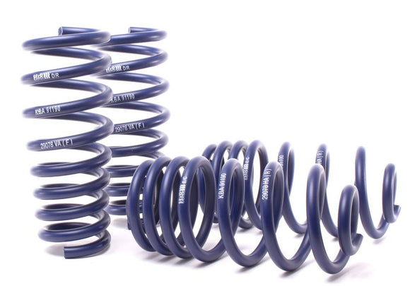 H&R Sport Lowering Springs  - BMW X5 M M7X 2010-2013