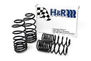 H&R Sport Lowering Springs  - Volkswagen Passat Sedan VR6 1993-1994